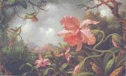 Martin Johnson Heade Hummingbirds and Two Varieties of Orchids oil painting on canvas